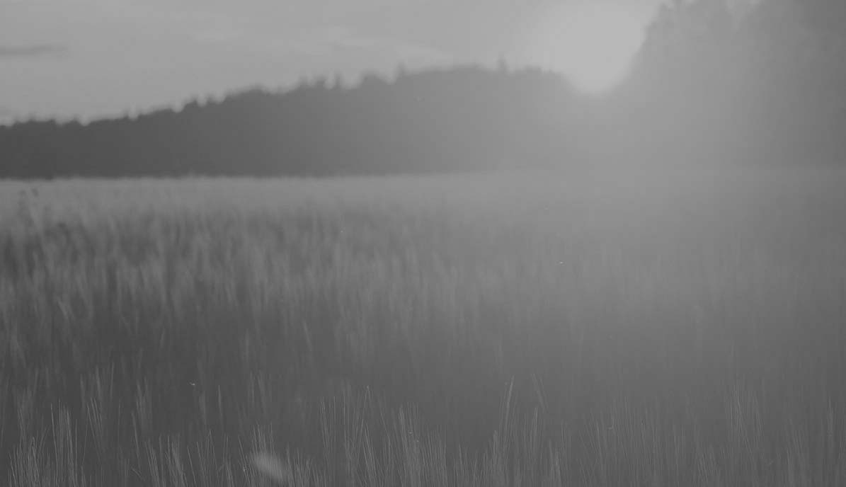 swedenhrgroup_kundcase-bw