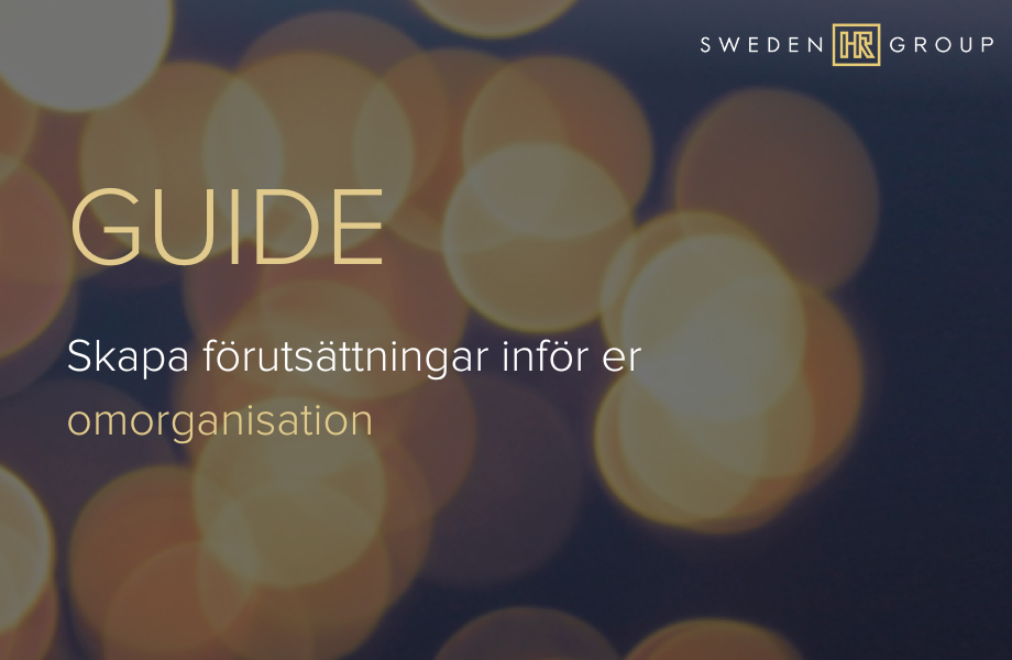 swedenhrgroup_guide_omorganisation