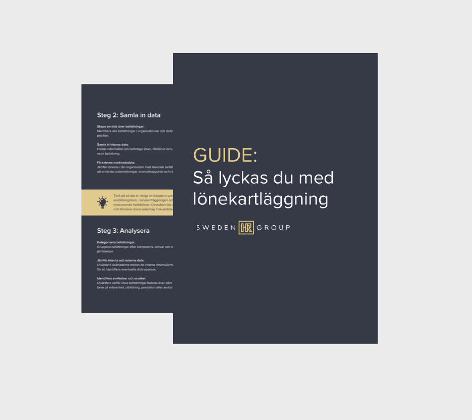 Lyckas med lönekartläggning