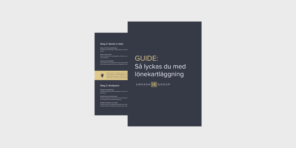 lönekartläggning guide